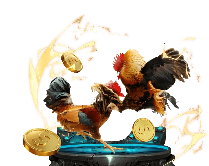 Hình ảnh đội ngũ hỗ trợ khách hàng chuyên nghiệp của BJ66